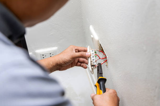 Best Electric Panel Repair  in Greenup, KY